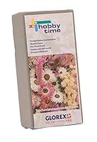 Algopix Similar Product 17 - Glorex Foam for Dried Flowers Grey