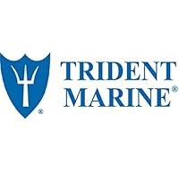 Algopix Similar Product 20 - Trident Hump Hose Silicone W/Clamps 8