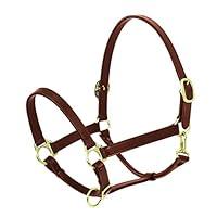 Algopix Similar Product 17 - Ovation Elite Stable Halter Oversize
