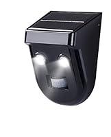 Algopix Similar Product 19 - EcoThink 155028 2 LED Solar Motion