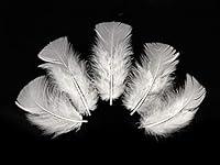 Algopix Similar Product 11 - 14 Lb  White Turkey TBase Body