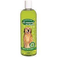 Algopix Similar Product 5 - Top Performance Green Tea and Mint