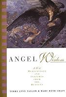 Algopix Similar Product 1 - Angel Wisdom 365 Meditations and