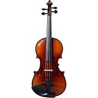 Algopix Similar Product 17 - Realist, 4-String Violin (RV4E)