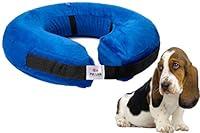 Algopix Similar Product 15 - Inflatable Dog Collar Recovery Cone