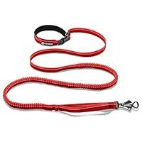 Algopix Similar Product 3 - RUFFWEAR  Roamer Leash Red Currant