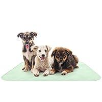 Algopix Similar Product 3 - Puppy Pads Pet Training Mat Quick