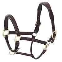 Algopix Similar Product 3 - Ovation Fancy Raised Padded Halter Dk