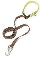 Algopix Similar Product 11 - WEST PAW Jaunts Dog Leash with Comfort