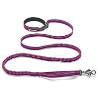 Algopix Similar Product 7 - RUFFWEAR  Roamer Leash Purple Dusk