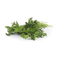 Algopix Similar Product 15 - Organic Italian Parsley, 1 Bunch