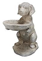 Algopix Similar Product 19 - Benzara White BM145587 WellDesigned