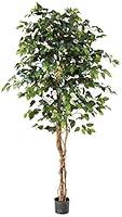 Algopix Similar Product 7 - Nearly Natural 6ft. Ficus Silk Tree