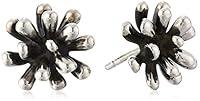 Algopix Similar Product 6 - Zina Sterling Silver Fireworks