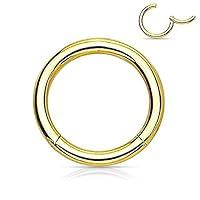 Algopix Similar Product 15 - Hinged Seamless WildKlass Jewely Septum
