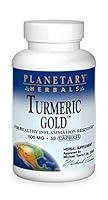 Algopix Similar Product 11 - Planetary Herbals Turmeric Gold 500mg