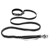 Algopix Similar Product 1 - RUFFWEAR Roamer Dog Leash Adjustable