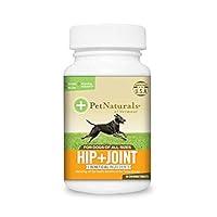 Algopix Similar Product 11 - Pet Naturals of Vermont  Hip  Joint