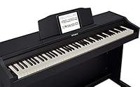 Algopix Similar Product 1 - Roland RP102 88key Weighted Keyboard