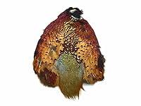 Algopix Similar Product 13 - Complete Natural Ringneck Pheasant Skin