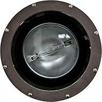 Algopix Similar Product 6 - Dabmar Lighting FG4385MT Fiberglass
