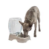 Algopix Similar Product 14 - Petmate Pet Cafe Waterer Cat and Dog