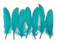 Algopix Similar Product 18 - Moonlight Feather  1 Pack  Peacock