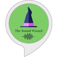 Algopix Similar Product 17 - The Sound Wizard