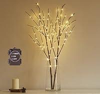 Algopix Similar Product 12 - Hairui Lighted Brown Branches Battery