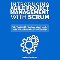 Algopix Similar Product 20 - Introducing Agile Project Management