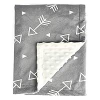 Algopix Similar Product 13 - BORITAR Baby Blanket Super Soft Minky