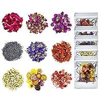 Algopix Similar Product 15 - YoleShy Dried Flowers Natural Dried