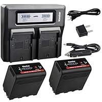 Algopix Similar Product 5 - Kastar 2 Pack Battery and LCD Dual Fast
