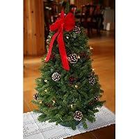 Algopix Similar Product 3 - Worcester Wreath 18Inch The Maine