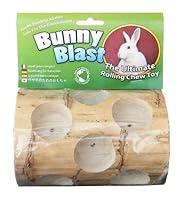 Algopix Similar Product 13 - Bunny Blast Yucca Chew Toy