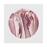 Algopix Similar Product 11 - Trademark Fine Art Tulips Circle by