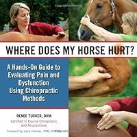 Algopix Similar Product 14 - Where Does My Horse Hurt A HandsOn