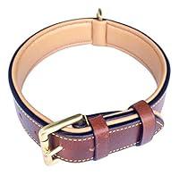 Algopix Similar Product 1 - Soft Touch Collars Padded Leather Dog