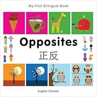 Algopix Similar Product 9 - My First Bilingual BookOpposites