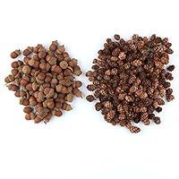 Algopix Similar Product 14 - Factory Direct Craft Autumn Mix of