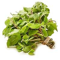 Algopix Similar Product 2 - Organic Marjoram, 0.75 oz Clamshell