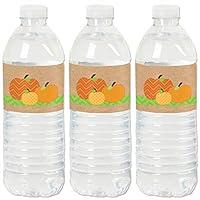 Algopix Similar Product 2 - Big Dot of Happiness Pumpkin Patch 