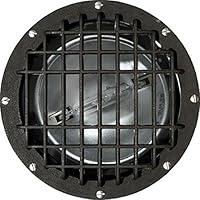 Algopix Similar Product 8 - Dabmar Lighting FG4380GRL Fiberglass