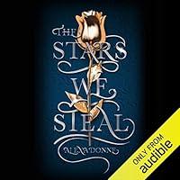 Algopix Similar Product 6 - The Stars We Steal