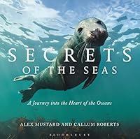 Algopix Similar Product 9 - Secrets of the Seas A journey into the
