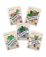 Algopix Similar Product 19 - Microgreens Seeds Kit  100 Non GMO 