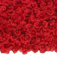 Algopix Similar Product 10 - BESKIT 3000 PCS Dark Red Artificial