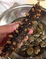 Algopix Similar Product 10 - GOLDENSEANatural Sun Dried Wild Caught