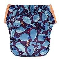 Algopix Similar Product 13 - Hybrid Cloth Diaper  Reusable Training