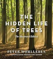 Algopix Similar Product 16 - The Hidden Life of Trees The